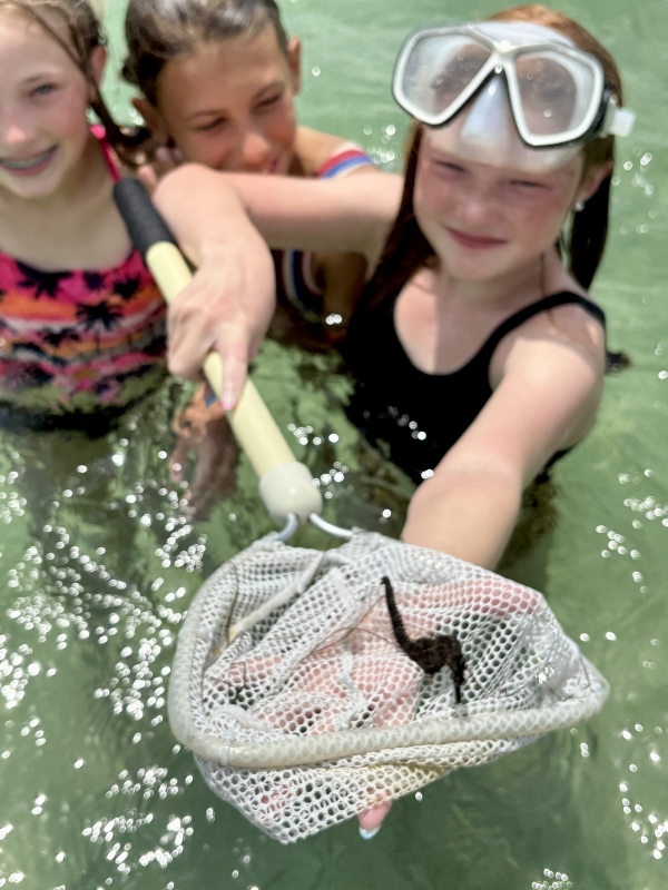 Pontoon Charters Destin Florida